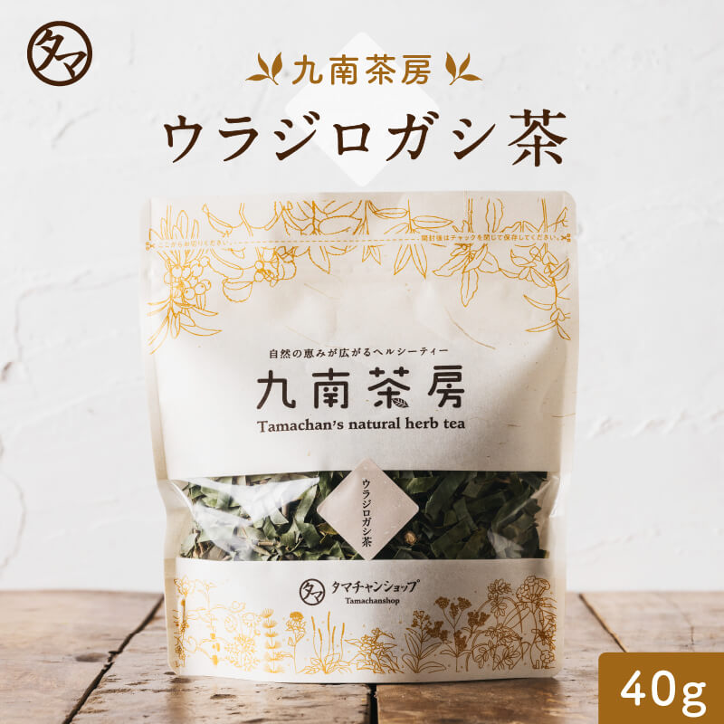 【送料無料】ウラジロガシ|健康茶 お茶 健康飲料 健康食品 女性 プレゼント ギフト 美容 自然食品 美容ドリンク 自然派 おちゃ 美容茶 自然の都タマチャンショップ 御茶 九南茶房