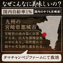 きくらげ タマチャンの無農薬・国産きくらげ--1kg（250g×4袋）約10kgの生きくらげを使用 送料無料| 業務用 木耳 美容 栽培 佃煮 乾燥 キクラゲ きのこ 国産 健康食品 ビタミンD 栄養 食物繊維 鉄分 カリウム 栄養食品 低カロリー 低糖質 3