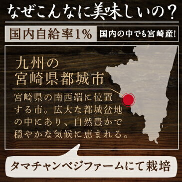 【送料無料】ぷりぷり！コリコリ！タマチャンの無農薬乾燥キクラゲ南九州タマチャン農園のハウス内で霧島の天然水を地下150mから汲み上げ散水してつくった、コリコリ美味しいきくらげ【国産食材】【木耳】【野菜九州】