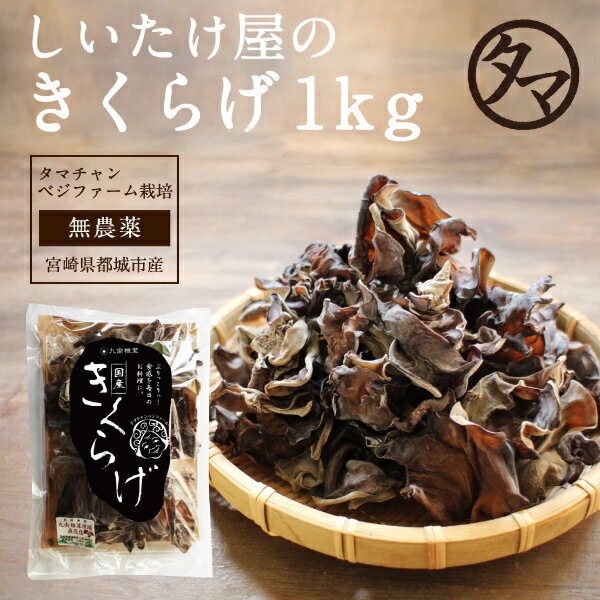 きくらげ タマチャンの無農薬 国産きくらげ--1kg（250g×4袋）約10kgの生きくらげを使用 送料無料 業務用 木耳 美容 栽培 佃煮 乾燥 キクラゲ きのこ 国産 健康食品 ビタミンD 栄養 食物繊維 鉄分 カリウム 栄養食品 低カロリー 低糖質