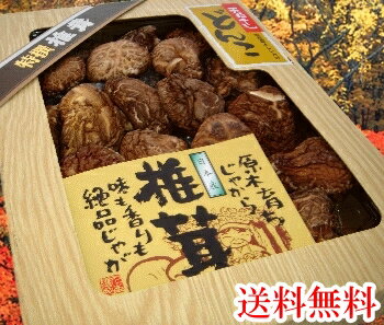 厳選肉厚原木乾どんこ椎茸140g☆大自然からの贈り物☆【包装・熨斗無料】【お歳暮・贈答用・ギフト】D ...