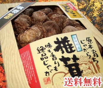 九州産原木育ち「どんこ椎茸250g」箱詰め☆大自然からの贈り物☆【包装・熨斗無料】【お歳暮・贈答用】