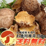 ̵۶彣250g¿̵ں100󸫤ܤ礤̣ϰʡͤ⤴ãԾбĤ餳äβʡ    櫓 äʤ ʥ  