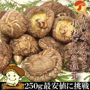 九州産小粒どんこ椎茸250g24ヶ月の歳