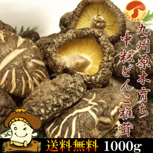 九州産原木中粒干しどんこしいたけ1kg24ヶ月の歳月をかけた里山の恵みTD1000【国産椎茸】【無農薬原木栽培】【九州グ…