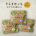 そらまめっち(そら豆チップス)3袋セット(塩・のり塩・チーズ&ガーリック)セット1セットから送料無料植物性の栄養を楽しむソラマメ健康おやつシリーズ|空豆 スナッ...