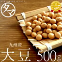 【送料無料】九州産 大豆 500g（令和4年度産 ダイズ）楽天市場特別価格で「大豆」販売中！生大豆 大豆の栄養 国産 大豆 豆 エクオール タマチャンショップ 健康食品 国産大豆 ギフト お取り寄せグルメ プロテインフード エシカルフード