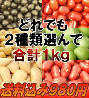 【送料無料】 どれでもお好きな物を2袋選んで送料込み980円！豆扱い30年以上のプロが選ぶA級品豆が ...