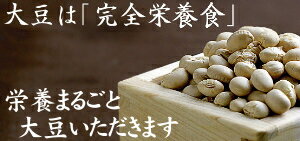 九州産煎り大豆(国産/無添加)-100g大豆の栄養まるごと楽天大豆ランキング1位！そのまま食べれる栄養満点 無添加の焙煎ダイズ♪大豆イソフラボン/サポニン/レシチン/大豆タンパク/焙煎大豆 炒り大豆 丸ごと大豆 豆|健康食品 国産大豆 節分