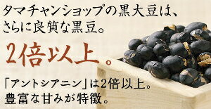 【送料無料】九州産プレミアム煎り黒豆-500g大豆の栄養まるごと 黒豆茶・茹でにしても旨い黒豆ダイエットにも 無添加ヘルシー！注目の九州産高級黒豆クロダマルを使用した抜群の栄養と旨み↑豆 ダイエット 大豆プロテイン 黒大豆|ダイズ 無添加食品 国産