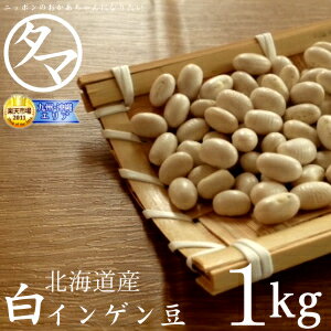 北海道産 白いんげん豆 1kg（30年度産）楽天市場特別価格で「白いんげん豆」販売中！ホックホクで絶妙の食感で甘さのある美味しさです。大手亡豆 白いんげん豆の栄養 国産 大手亡豆|健康食品 インゲン豆 ギフト 女性 自然食品 ヘルシー 美容 送料無料