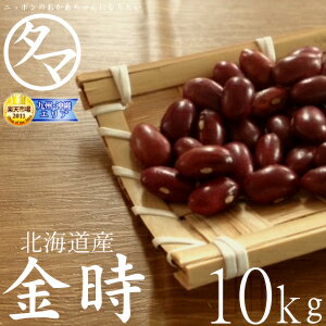 【送料無料】北海道産 金時豆 10kg（