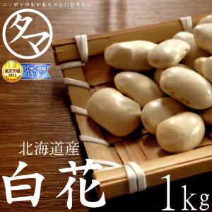    kCY ԓ 1kg ߘa4NYk̑nň܂ꂽP ̏gԓhzbNzN̐Hŏ㎿ȊÂ̂铤łBY Y ԓMade in japan natural White beans|NHi YHi Mtg RHi