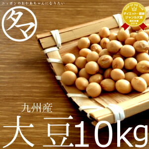 【送料無料】九州産大豆 10kg（令和4年度産 ダイズ）｜業務用 料亭用 ホテル用 イベント用 生大豆 大豆の栄養 国産 大豆 豆 エクオール お取り寄せグルメ プロテインフード エシカルフード