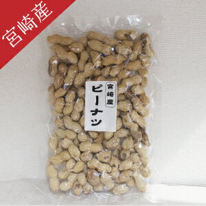 新物入荷！宮崎育ちの落花生（ピーナッツ）150g|ピーナッツ 落花生 国産 らっかせい　九州産落花生 ピーナツ 送料無料の商品画像