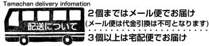 【送料無料】素焼きピーカンナッツ 500g★(無添加 無塩 ロースト 素焼き)一度は食べて頂きたいクルミのような食感と独特の深い香りとコクが決め手の人気ピーカンナッツ。