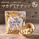 マカデミアナッツ 100g(無添加 無塩 