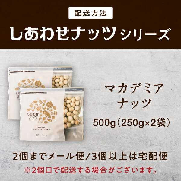 【送料無料】マカデミアナッツ 500g（250g×2袋）(無添加 無塩 ロースト 素焼き)一度は食べて頂きたいクルミのような独特の深い香りとコクが決め手の人気マカダミアナッツ。｜ナッツ 無塩 マカダミア 食品 おやつ お菓子 スイーツ プロテインフード キャンプ飯 3