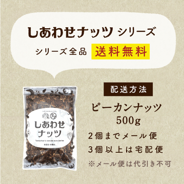 【送料無料】素焼きピーカンナッツ 500g（250g×2袋）(無添加 無塩 ロースト 素焼き)クルミのような食感と独特の深い香りとコクが決め手の人気ピーカンナッツ｜ぴーかん ナッツ 食品 健康食品 おやつ お菓子 スイーツ オメガ脂肪酸 オレイン酸 SNUTS