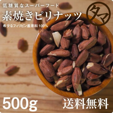 NEW！【送料無料】素焼きピリナッツ500gホクホクとした不思議な柔らかい食感の中に、豊富な美容のビタミンEや抜群の栄養バランスに優れたスーパーフード低糖質、ノンコレステロール食材ロースト製法ピリナッツナチュラル素材・添加物不使用