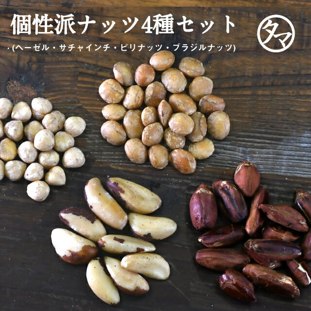 お試しナッツ4袋セット(100g×4袋)しあわせナッツお試しセットD。タマチャンのサチャインチ・ピリナッツ・ブラジルナッツ・ヘーゼルナッツが試せるセット｜小分け ロースト ミックス 送料無料 お取り寄せグルメ お取り寄せスイーツ エシカルフード プロテインフード