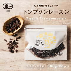 https://thumbnail.image.rakuten.co.jp/@0_mall/kyunan/cabinet/naturedry/thompson-raisins/raisin500g-thum.jpg