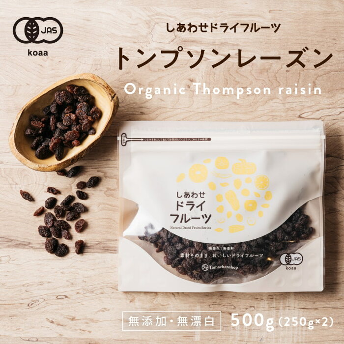 【送料無料】房干しトンプソンレーズン500g（250g×2袋）(カリフォルニア産/無添加)クセのない甘味、シャープな酸味|ドライフルーツ 無添加 砂糖不使用 ノンオイル オーガニック 有機JAS認定 れーずん スイーツ 食品 小分け お取り寄せグルメ raisins dryfruit