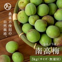 【送料無料】タマチャンべジファー