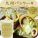 九州パンケーキミックス(ベジタブル) キャンプ飯 グランピング