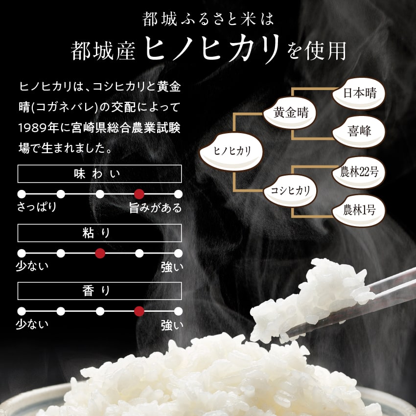 【送料無料】都城ふるさと米 300g/2合(精白米）☆令和6年産ひのひかり☆宮崎の清らかな大自然で育まれた美味しいお米をご堪能下さい【ひのひかり】【九州 米】宮崎県都城市産