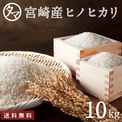 【送料無料】宮崎県産ひのひかり（精白米）☆令和5年度産-10kgヒノヒカリ☆食味極良とされる上ランクのヒノヒカリをお届け！【ひのひかり】【ヒノヒカリ】【九州 米】【精白米】