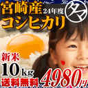 美味しい九州育ちのコシヒカリ九州/宮崎の美味しいお米をお届け♪【九州 米】【送料無料】宮崎県産こしひかり24年度産10kg清らかな大自然で育んだもっちりつやつやの粘りのある米の王道コシヒカリ生産者限定直仕入れの限定特価【新米こしひかり】【新米コシヒカリ】