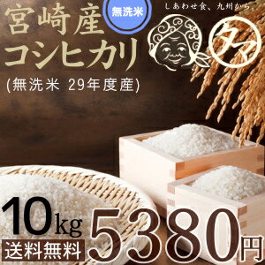 25年度宮崎産こしひかり10kg