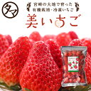 苺好きな方へ捧げる冷凍いちご　極甘！美いちご メガ盛り 1kg（500g×2袋）宮崎県産の有機栽培いちごを贅沢にもぎたてをそのまま瞬間冷凍！そのままでも、トッピングやアレンジレシピにもお使い頂けます。