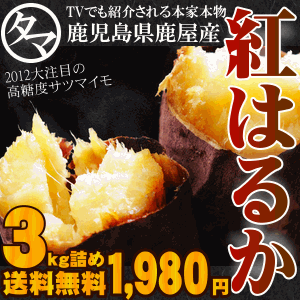 次世代のサツマイモとして人気急上昇中!