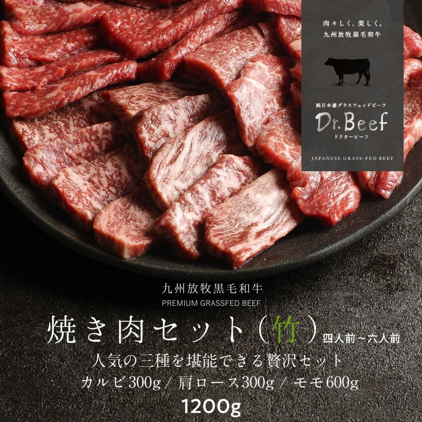 Dr.Beef 焼肉3種セット 