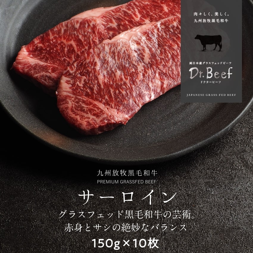 Dr.Beef T[CXe[L v1.5kg 150g~10 hN^[r[t Dr.r[t {YOXtFbhr[t јa OXtFbhr[t Ԑg Ԑg  h{Lx ς J[ Ε  yz