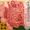 宮崎県産黒毛和牛霜降りカルビ500g