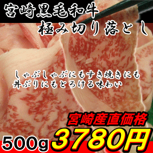 {茧Yјa~I؂藎Ƃ500g