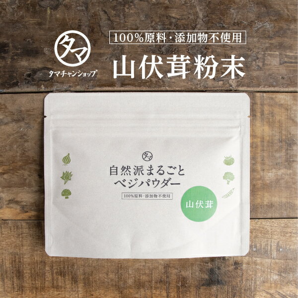 【送料無料】山伏茸粉末(60g)考える