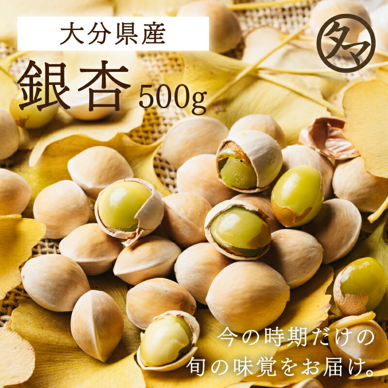  啪Y Ȃ 500g  嗱