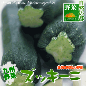 宮崎産ズッキーニ（1本）はなまるマーケットでも紹介された宮崎産の絶品ズッキーニ食感と風味が美味しい人気の食材最近では、ズッキーマンやブラックトスカなど色々な品種が楽しめます【九州/野菜】のサムネイル