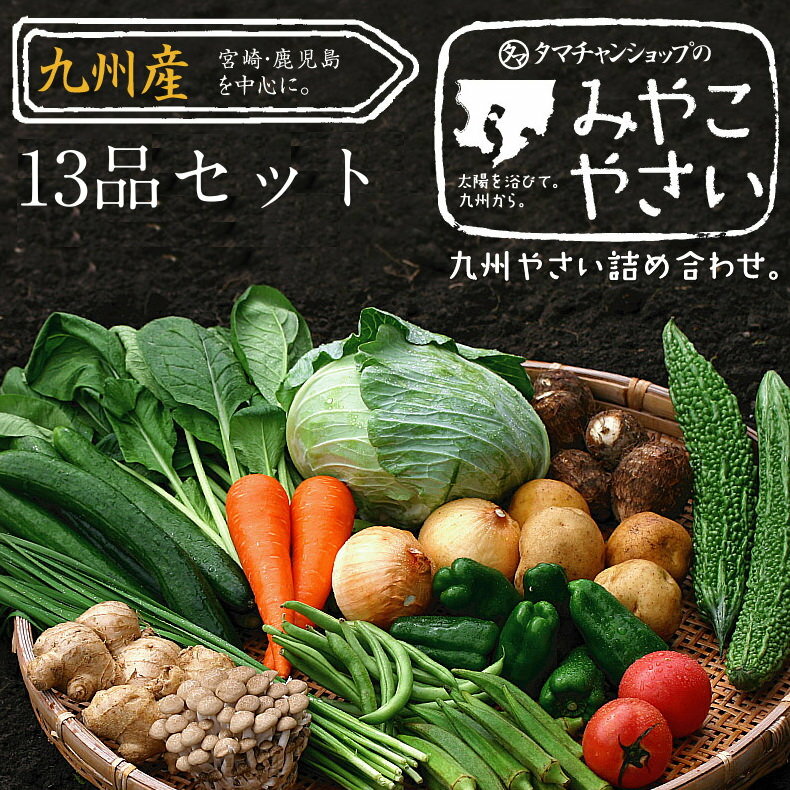 【送料無料】九州野菜セット　花切り大根プレゼント宮崎野菜13品ベストセレクション九州の美味しい野菜..