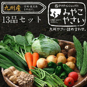 【送料無料】九州野菜セット　卵6個プレゼント中！宮崎野菜13品ベストセレクション九州の美味しい野菜をタマチャンショップが選りすぐりでたっぷり13品詰めてお届け！｜野菜セット 九州産 野菜 詰め合わせ 夏 ギフト やさいセット お取り寄せグルメ 送料込