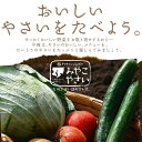 【送料無料】九州野菜ミニミニお試しセット 花切り大根プレゼント宮崎県の農家採れたて野菜8品でお届け宮崎で摂れた美味しい野菜を選りすぐりでお届け！【お試しセット】｜野菜セット 九州産 野菜 詰め合わせ 野菜セット 夏 お取り寄せ お取り寄せグルメ