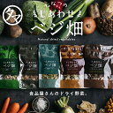 ななつのしあわせベジ畑 選べる乾燥野菜 国産 ベジ畑 (完全無添加・砂糖不使用) 手軽で便利な人にも環境にもやさしい低温ドライ製法の野菜シリーズ。7種の国産野菜をミックスした乾燥野菜ミックス ｜ドライ野菜 フードロス対策 干し野菜 無添加 保存食 備蓄用