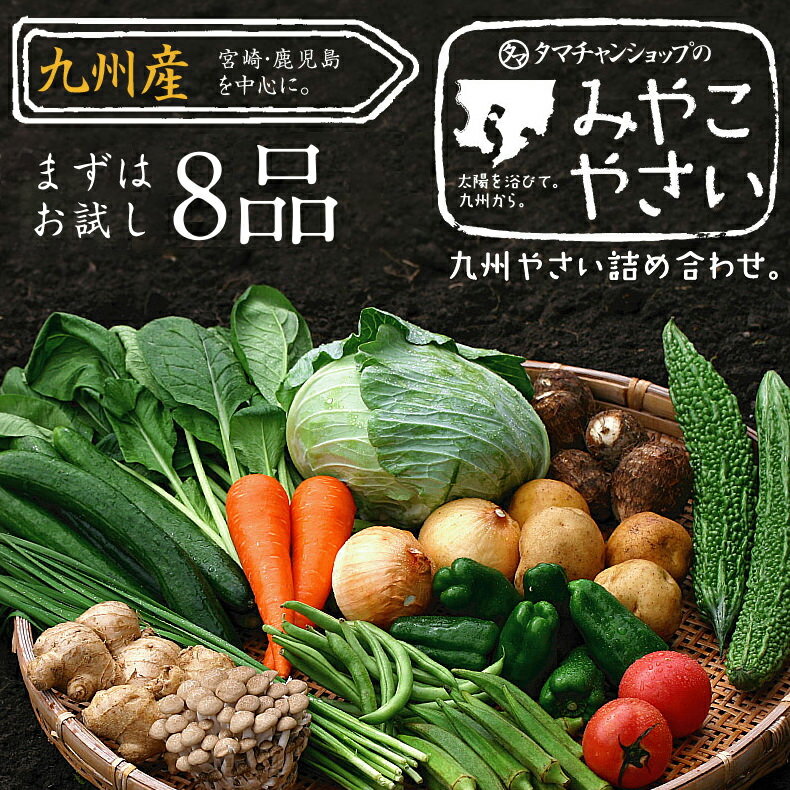 【送料無料】九州野菜ミニミニお試