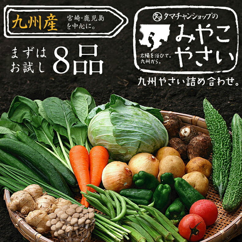 【送料無料】九州野菜ミニミニお試しセット 花切り大根プレゼント宮崎県の農家採れたて野菜8品でお届け..