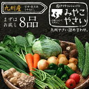 【送料無料】九州野菜ミニミニお試しセット 花切り大根プレゼント宮崎県の農家採れたて野菜8品でお届け宮崎で摂れた美味しい野菜を選り..