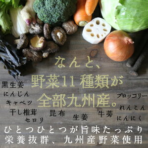 テレビ紹介！【送料無料】タマチャンの九州野菜スープだし九州産野菜をたっぷり使用「ささっとひとふり大地の旨味」お料理の基礎が変わる。「野菜スープダシ」11種類の九州産野菜を粉末化【無添加/だしスープ/九州/野菜だし】ファイトケミカルスープ